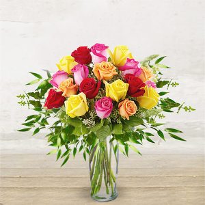Rose Colorate “Fantasia”