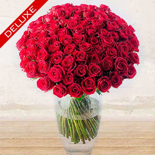 I nostri mazzi di rose rosse a gambo lungo, perfette per gli innamorati. Consegna a domicilio a verona.